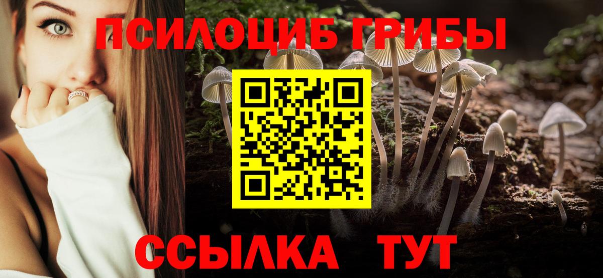 Галлюциногенные грибы MAGIC MUSHROOMS Чебоксары