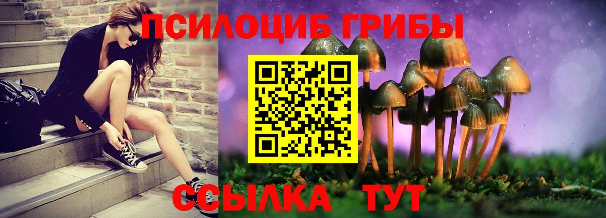 Псилоцибиновые грибы Psilocybe  Вход с VPN  Чебоксары  Галлюциногенные грибы Psilocybe 